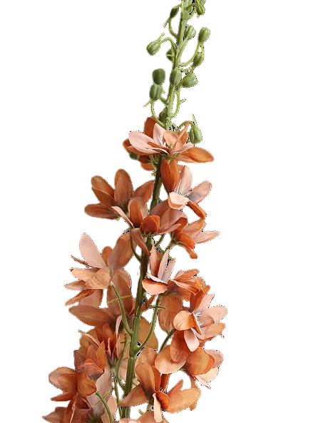 Terracotta Delphinium