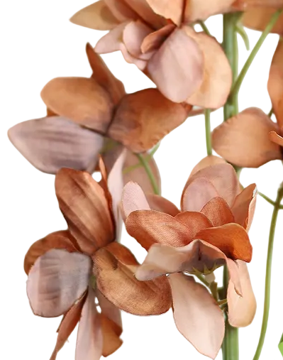 Terracotta Delphinium