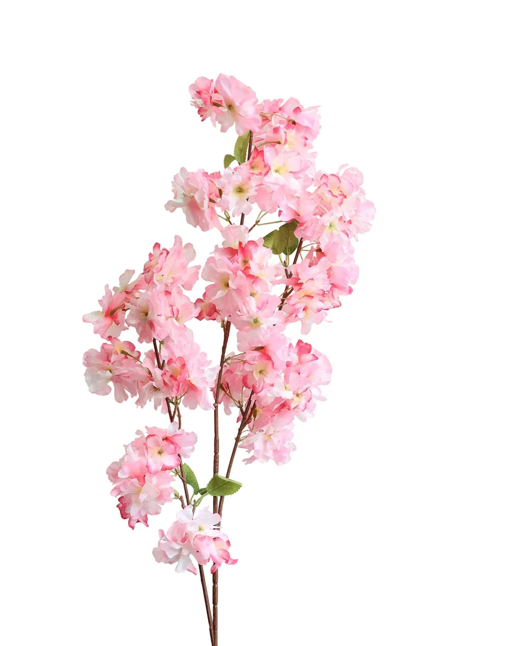 Sakura Cherry Blossom | Available in 6 Colors