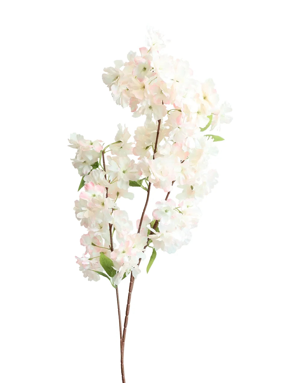 Sakura Cherry Blossom | Available in 6 Colors