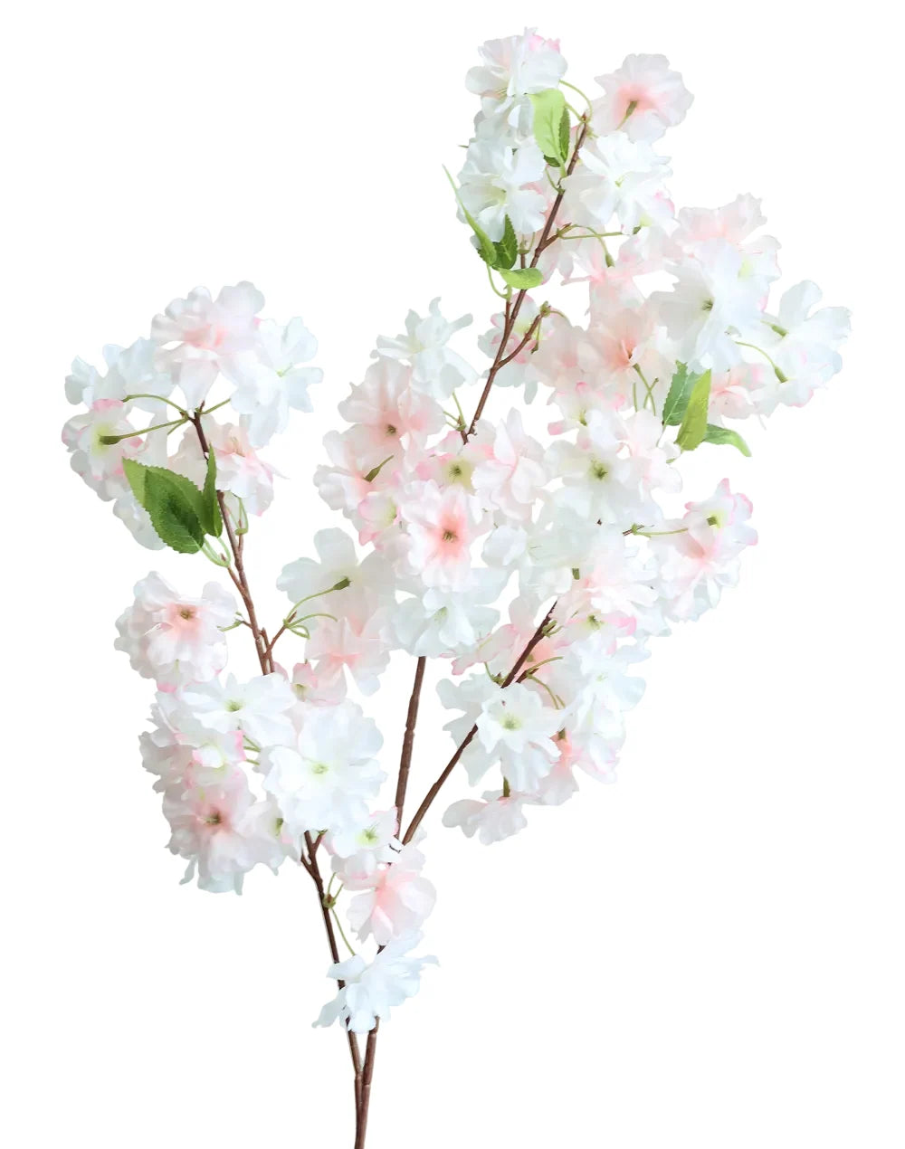Sakura Cherry Blossom | Available in 6 Colors