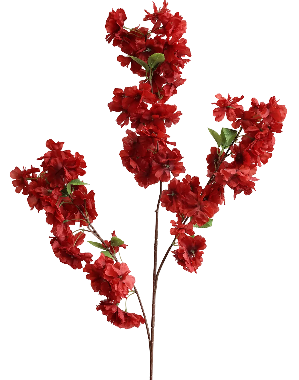 Sakura Cherry Blossom | Available in 6 Colors