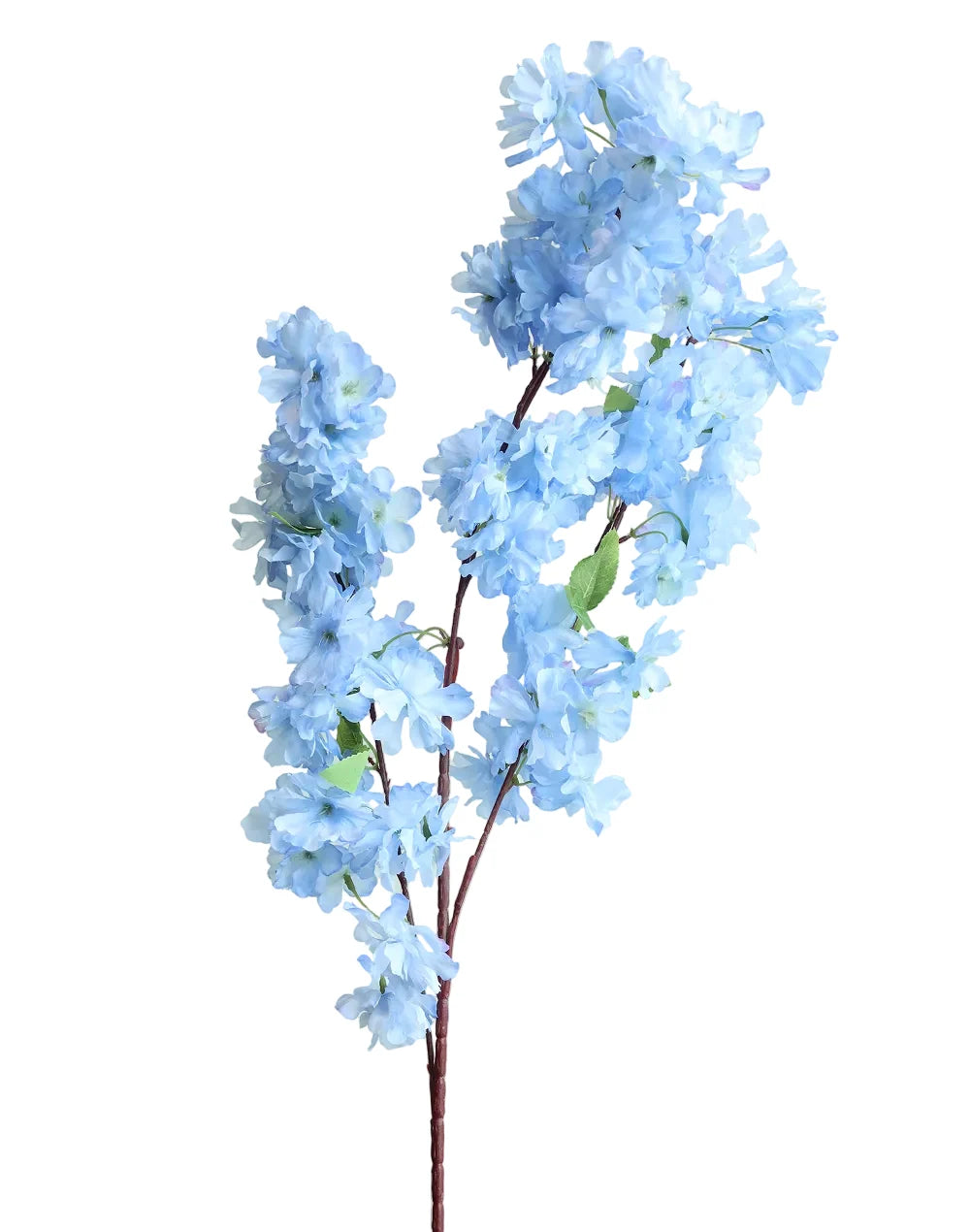 Sakura Cherry Blossom | Available in 6 Colors