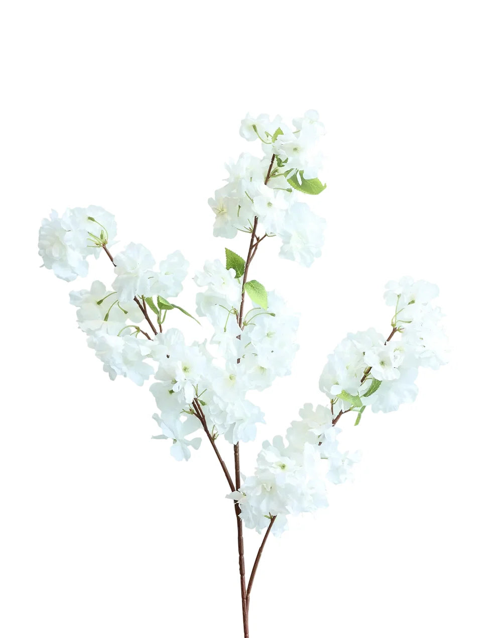 Sakura Cherry Blossom | Available in 6 Colors