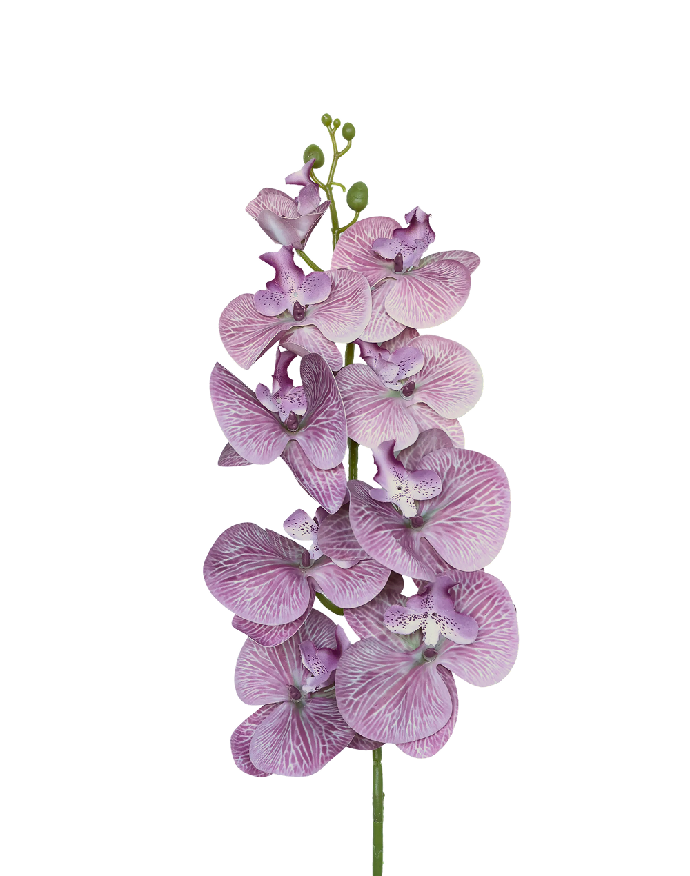 Orchid Stem 9-Head 42" | Available in 8 Colors