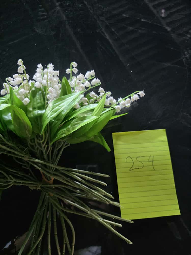 Lily of the Valley-13"