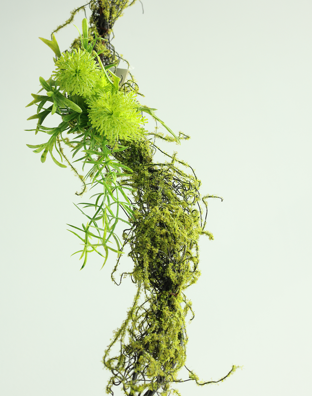 Spanish Mose Vine