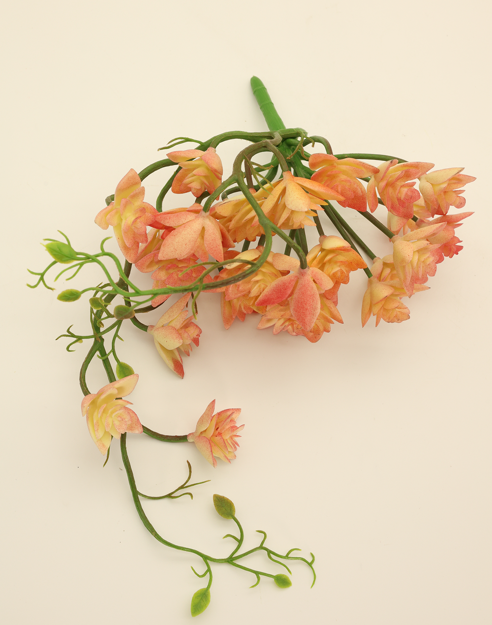 Yellow Trailing "Star"