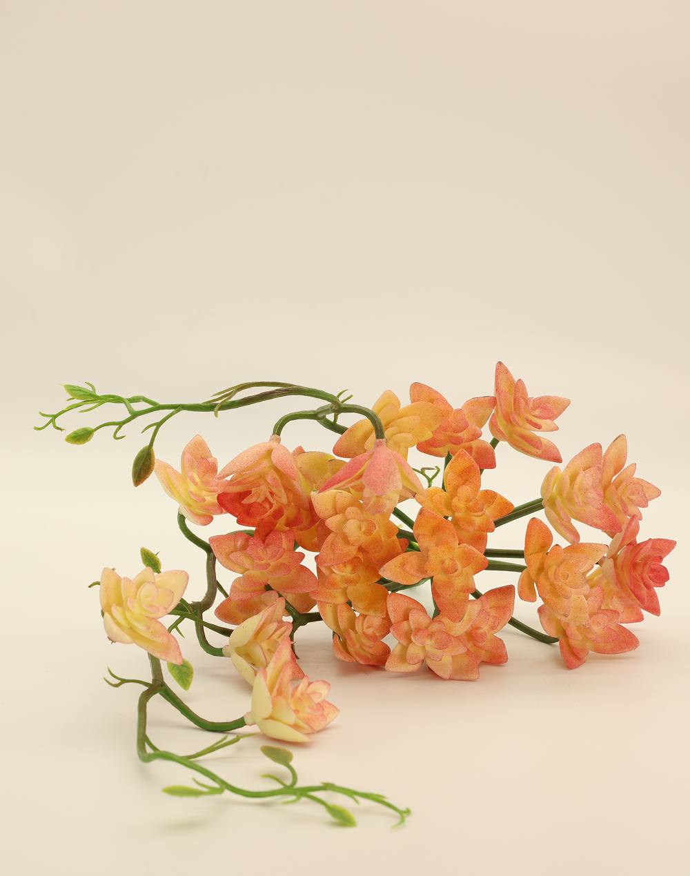 Yellow Trailing "Star"