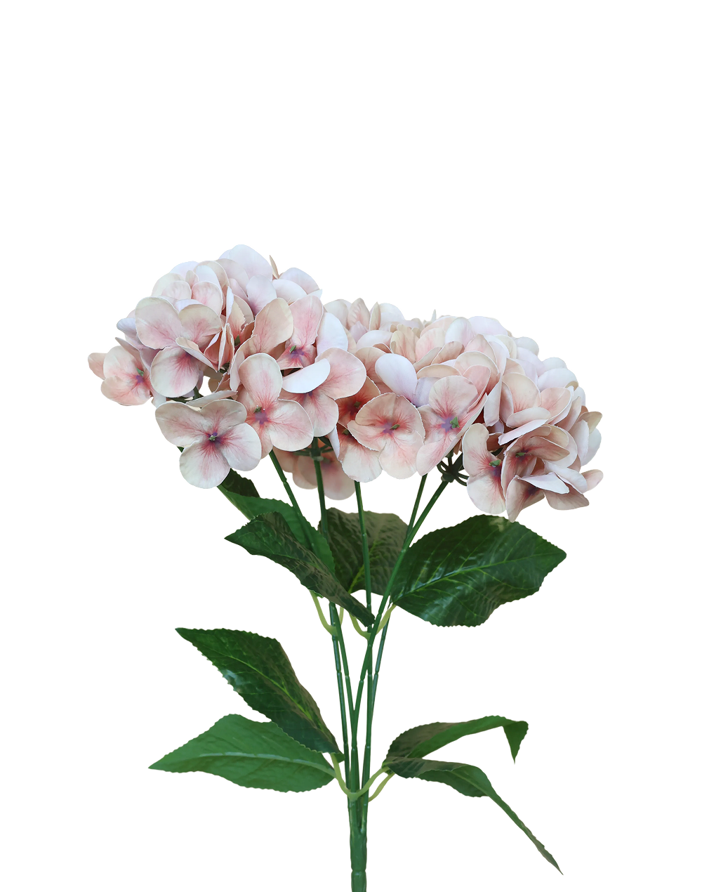 3D Hydrangea 5-Stem Spray | Available in 19 Colors