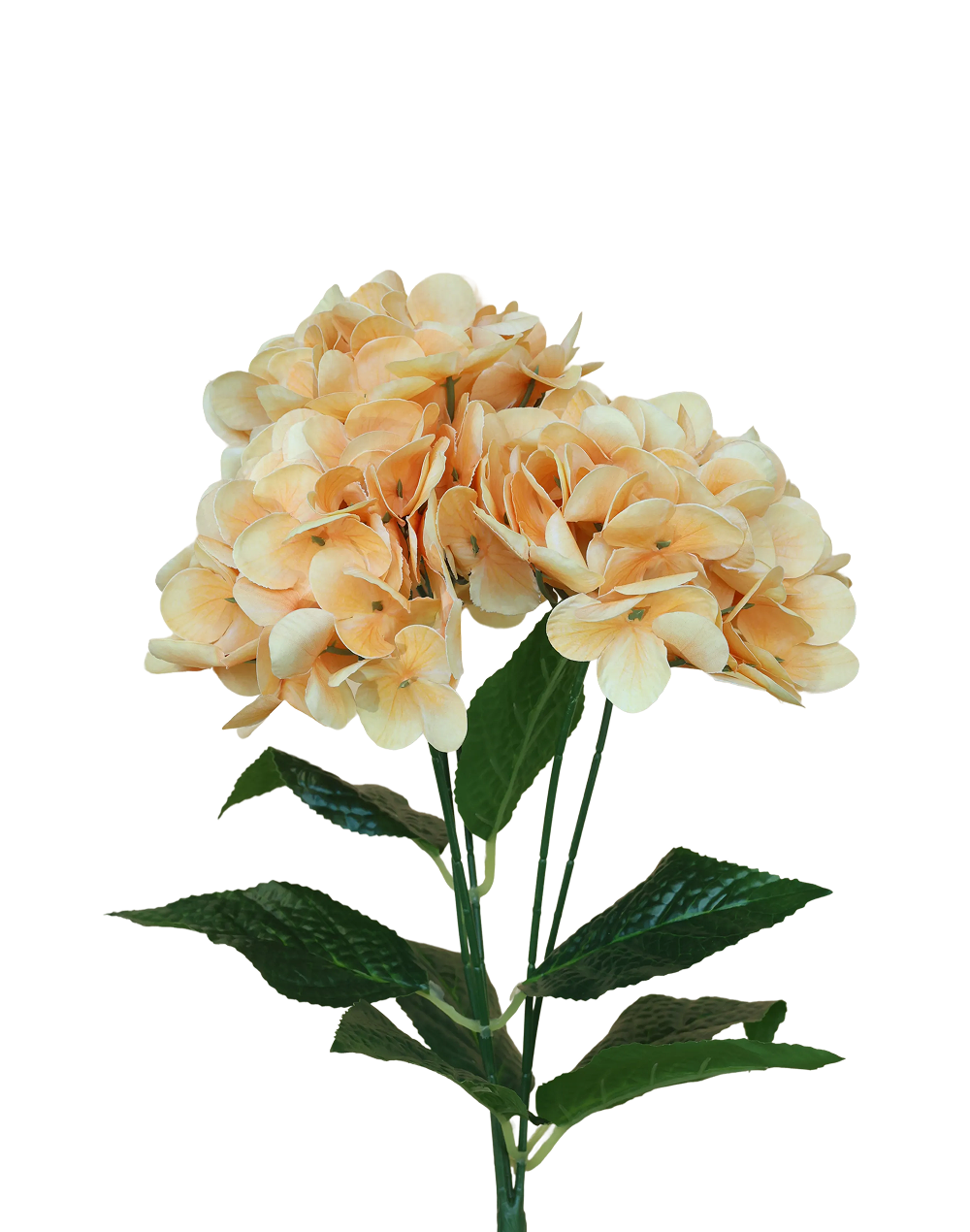 3D Hydrangea 5-Stem Spray | Available in 19 Colors