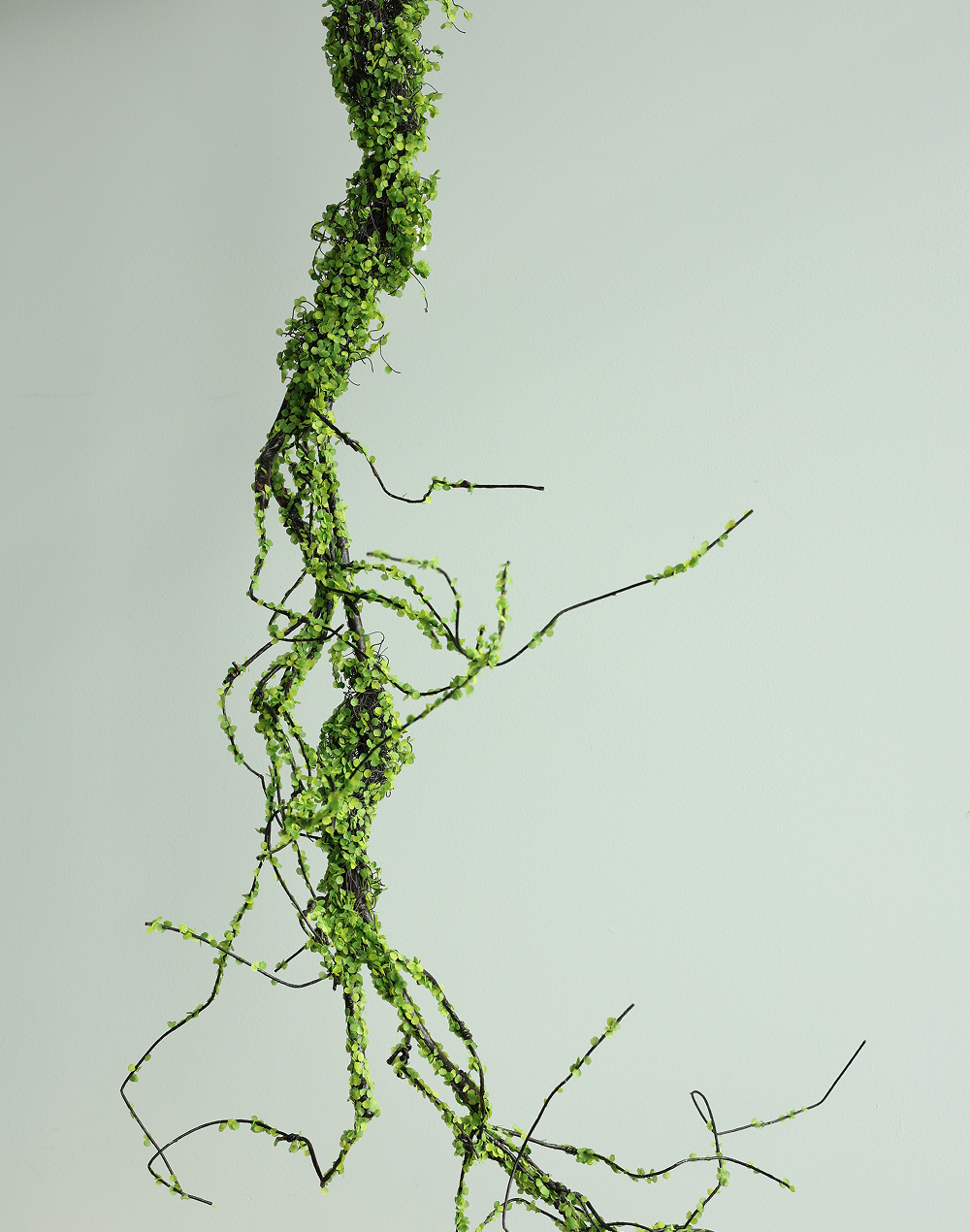 Trailing Garland