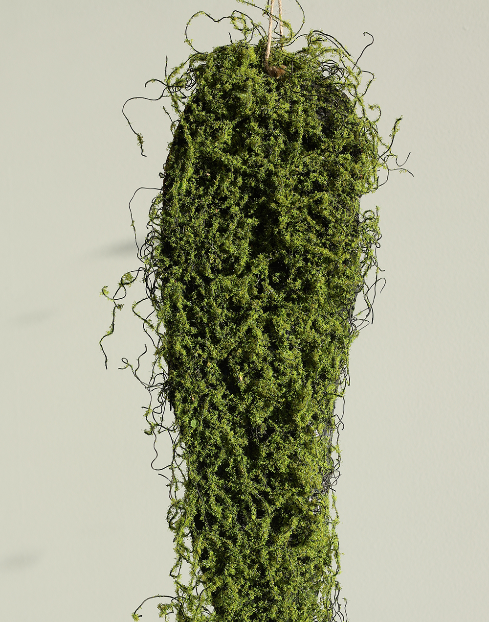 Hanging Moss Bark