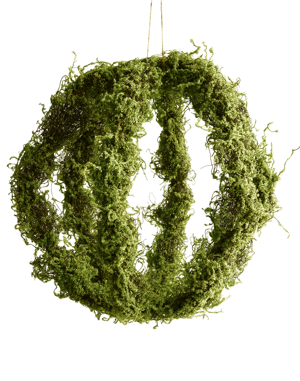 Hanging Moss Art-Small