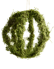 Hanging Moss Art-Small