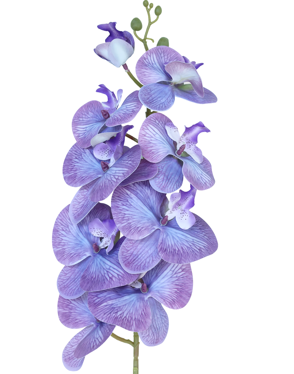 Orchid Stem 9-Head 42" | Available in 8 Colors