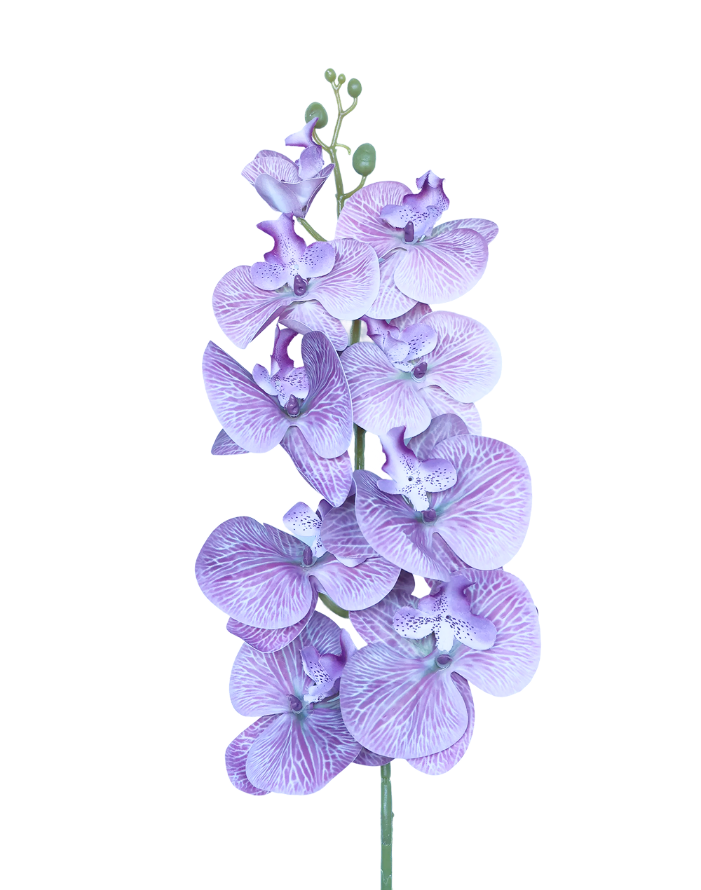 Orchid Stem 9-Head 42" | Available in 8 Colors