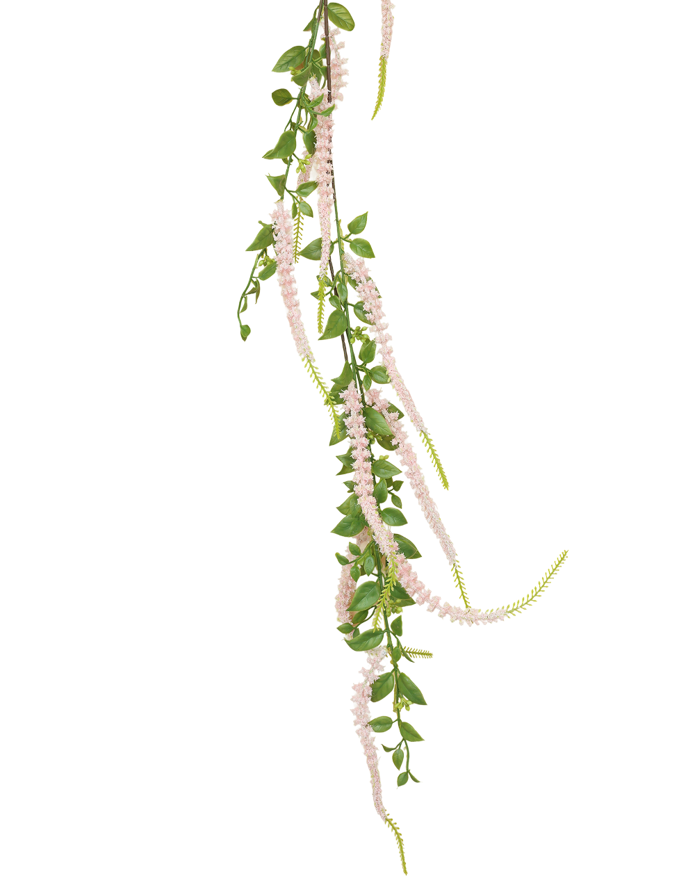 Weeping Buddleja | Available in 5 Colors
