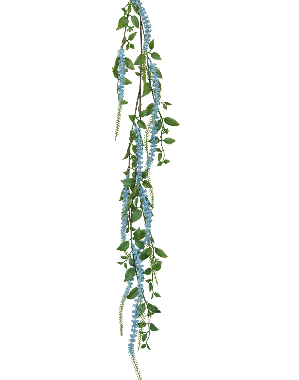 Weeping Buddleja | Available in 5 Colors