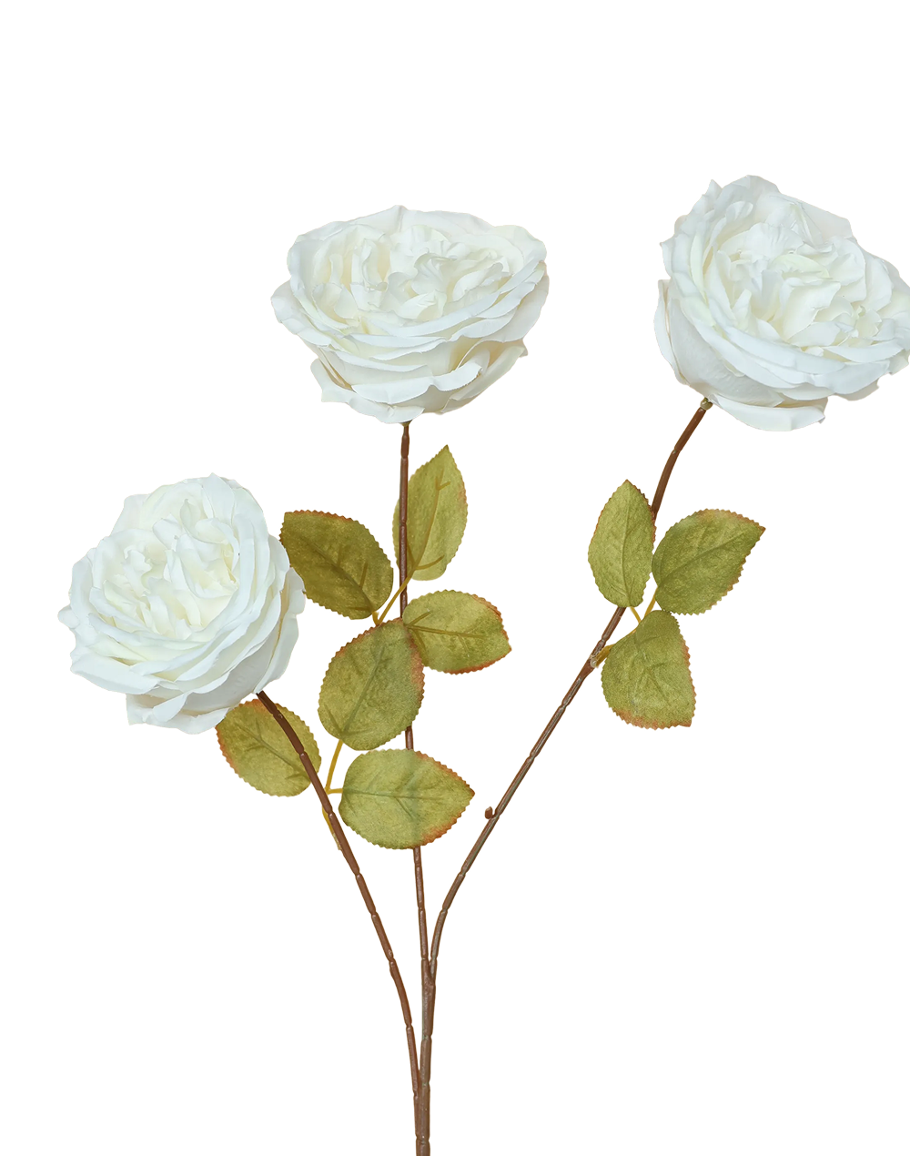 Austin Rose 3-Head Spray | Available in 3 Colors
