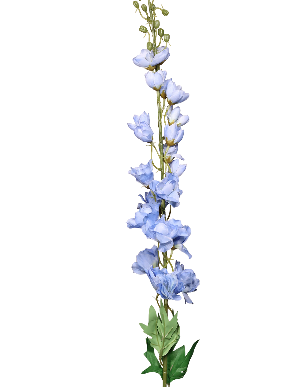 Blue Delphinium-40"