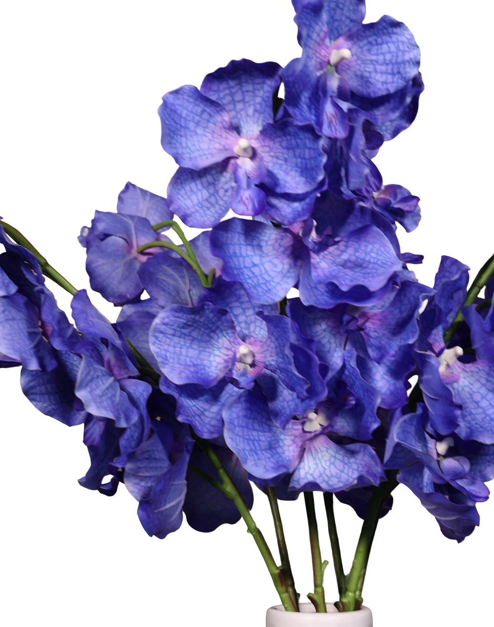 Blue Vanda Real Touch-30" Blue