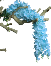 Baby Blue Wisteria- 50"