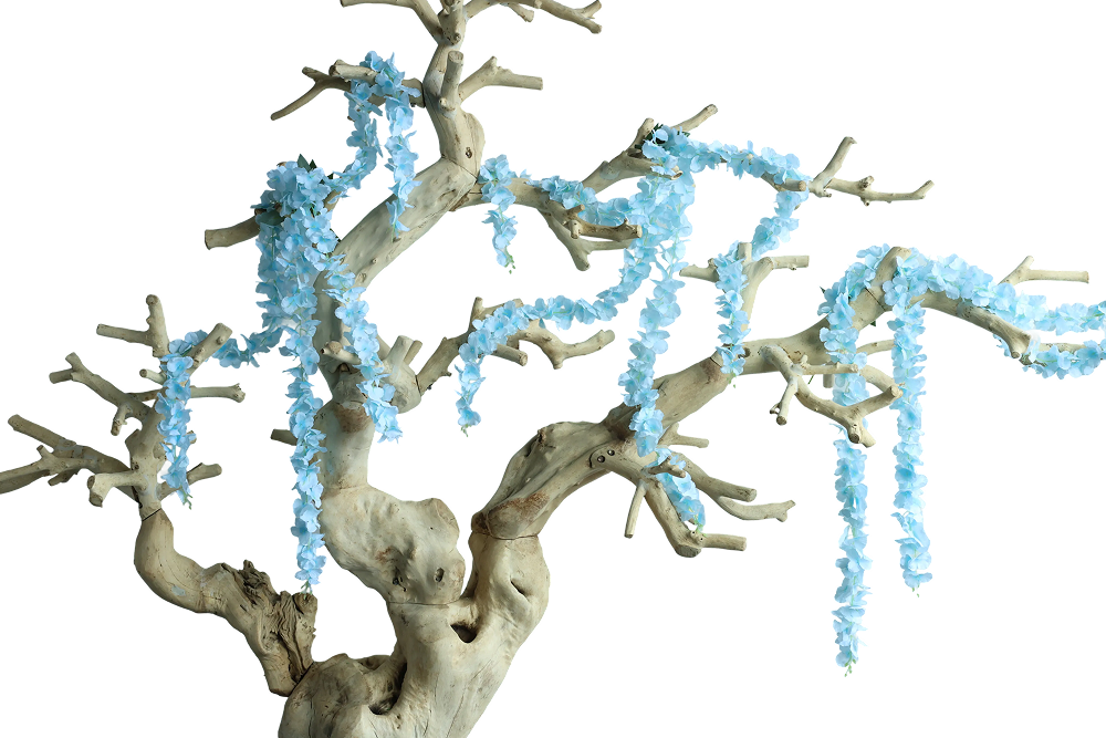 Baby Blue Wisteria- 50"