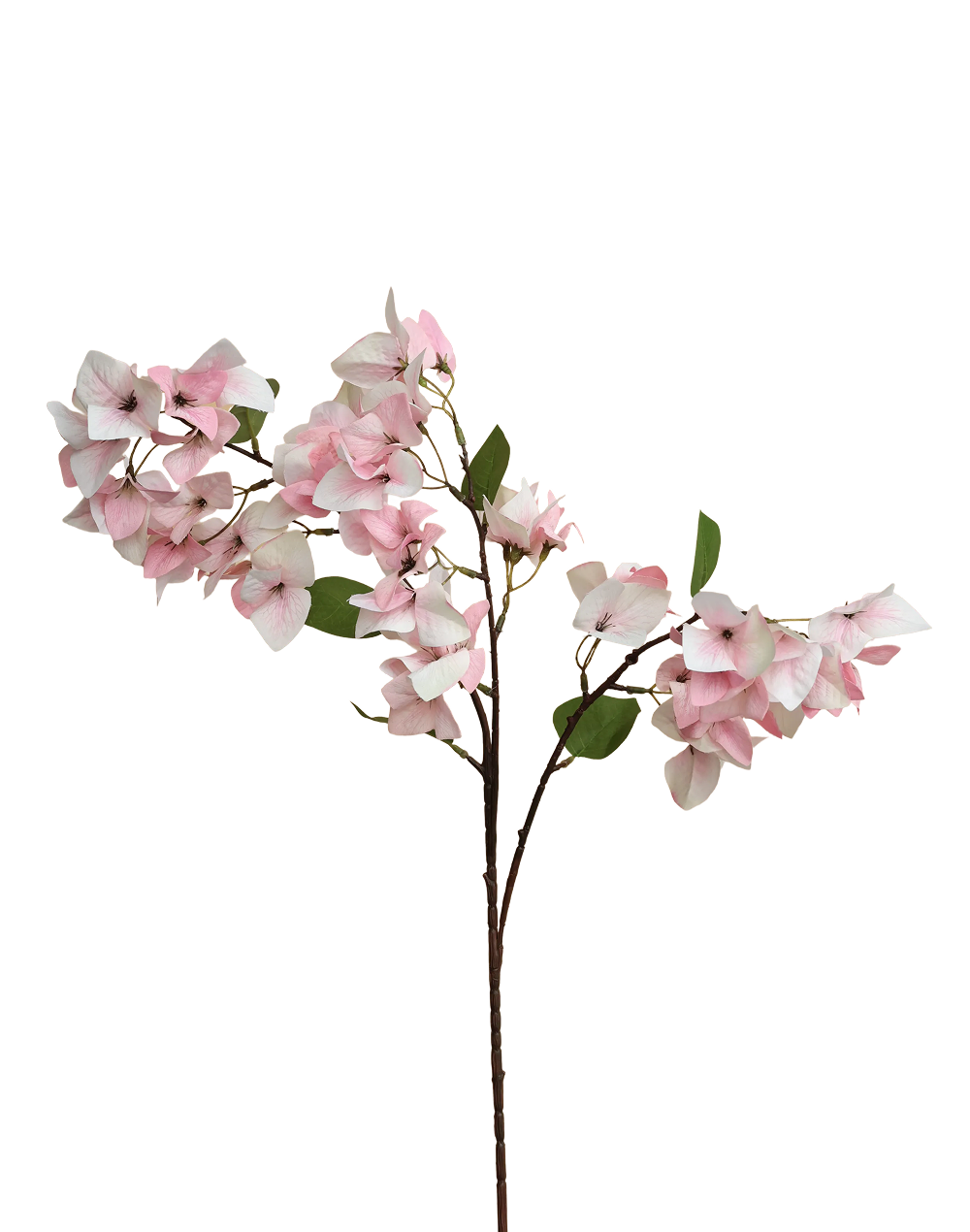 Bougainvillea Branch | Available in 3 Colors