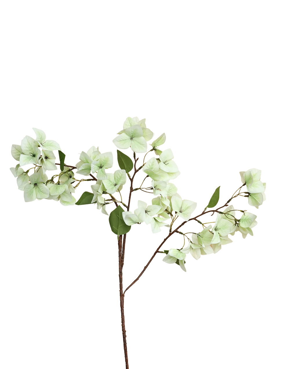 Bougainvillea Branch | Available in 3 Colors
