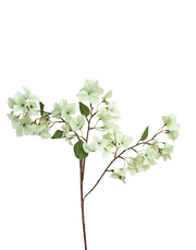 Bougainvillea Branch | Available in 3 Colors