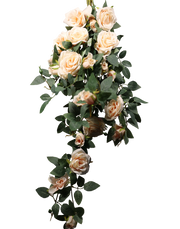 Cream Rose Bunch-30"