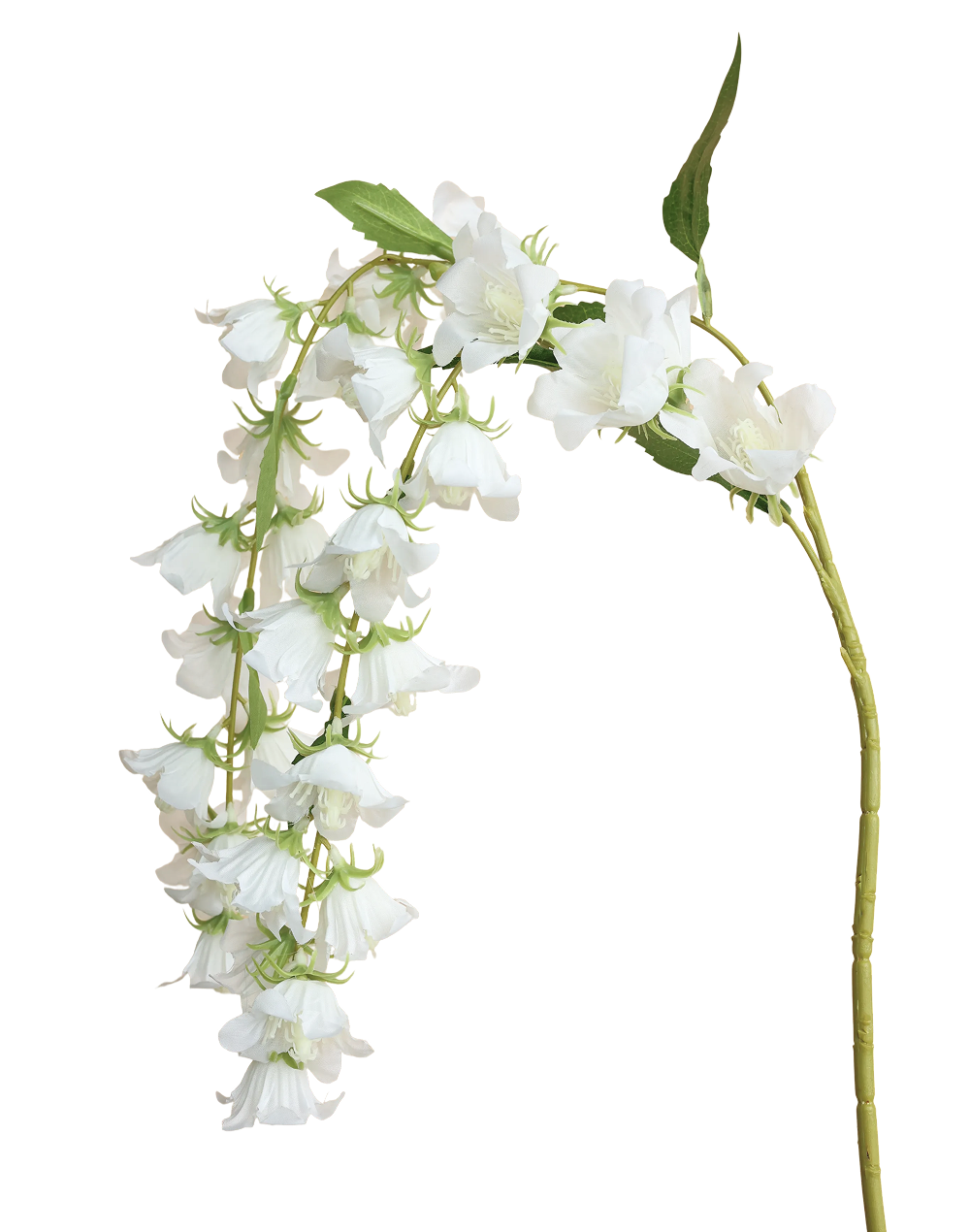 Cascading Campanula | Available in 2 Colors