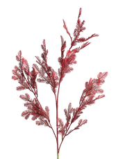 Burgandy Cedar Spray