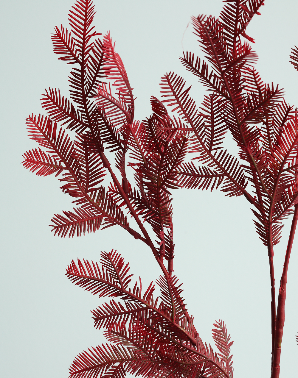 Burgandy Cedar Spray