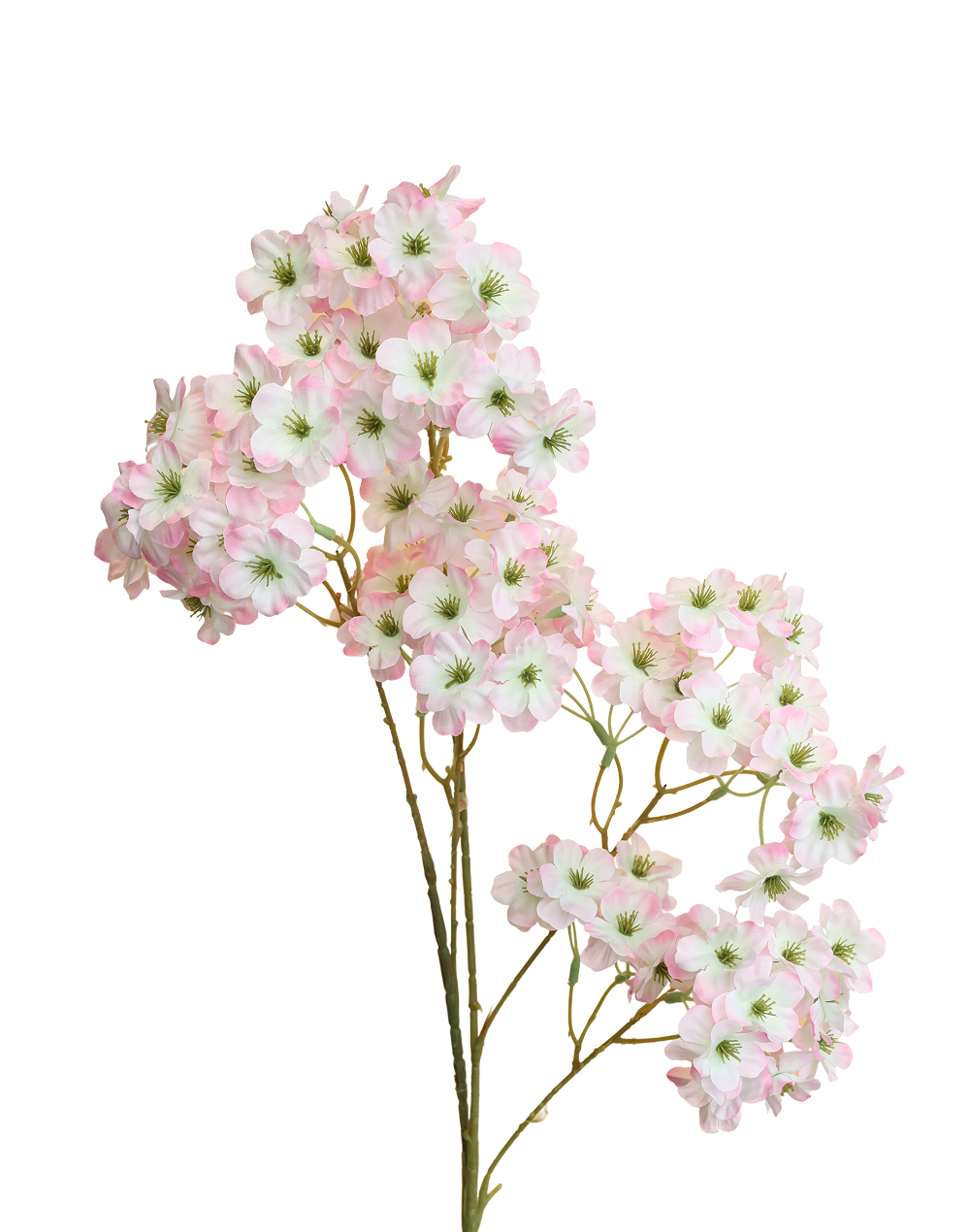 Cherry Blossom Sakura Spray | Available in 4 Colors