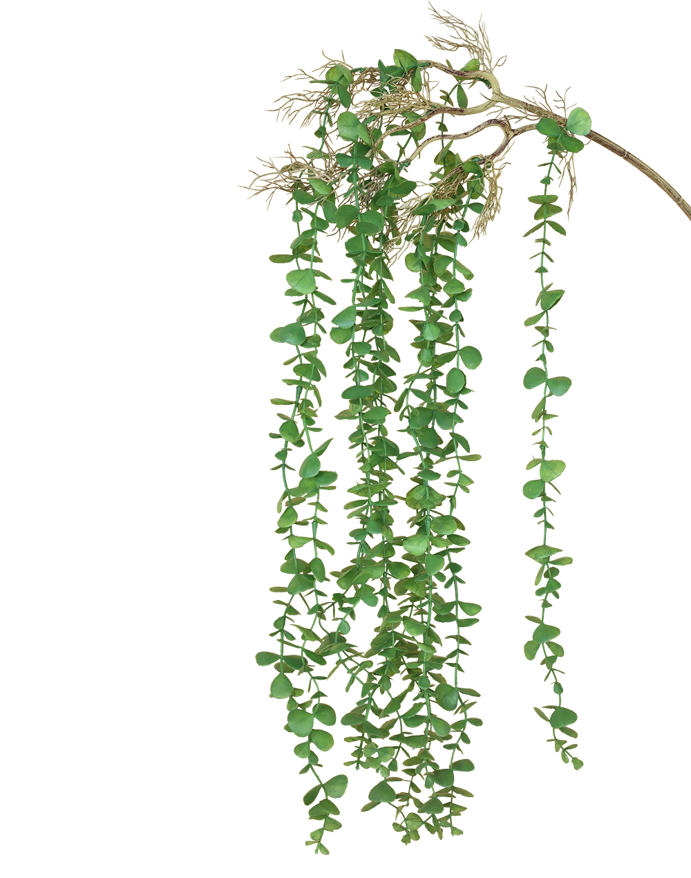 Boxwood Vine Bunch-36"