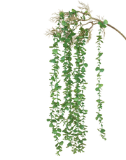 Boxwood Vine Bunch-36"