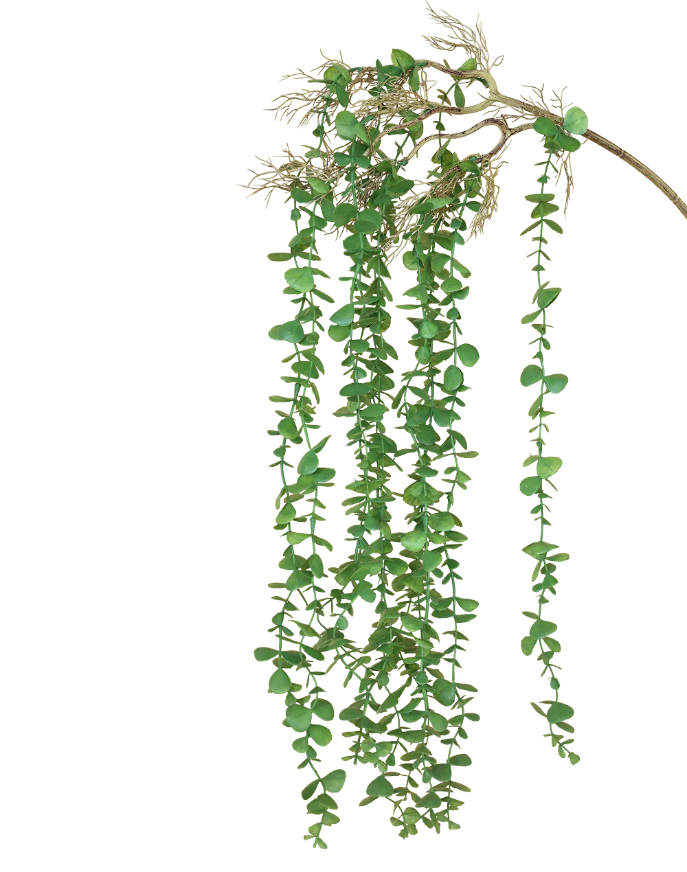 Boxwood Vine Bunch-36"