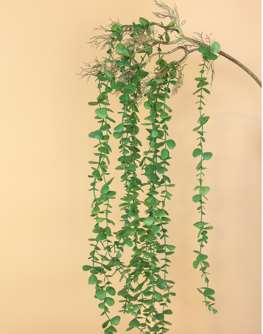 Boxwood Vine Bunch-36"