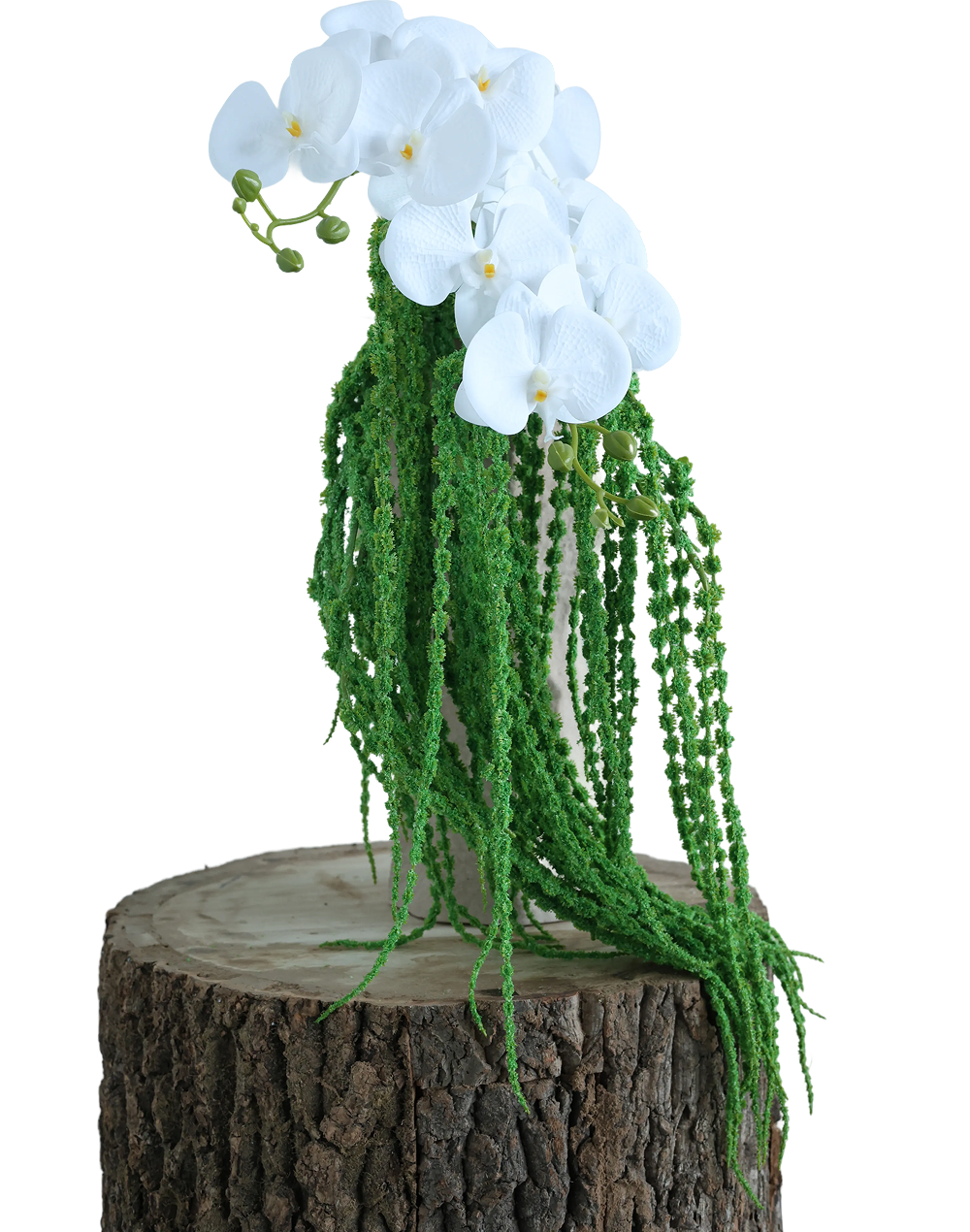 Amaranthus Dried | Available in 3 Colors