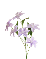 Garden Clematis Spray | Available in 3 Colors