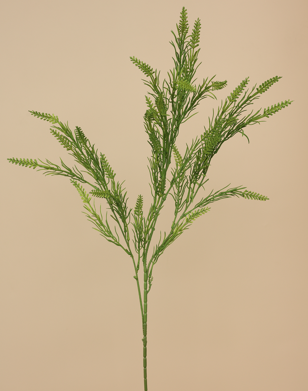 Emerald Green  Rice