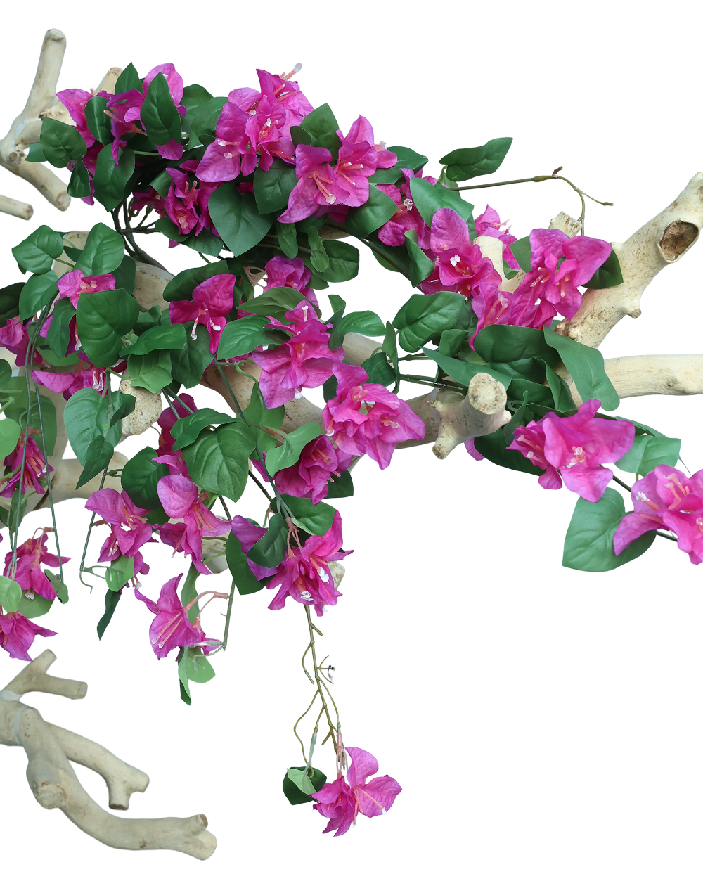 Hot Pink Bouganvilea Bunch-33"