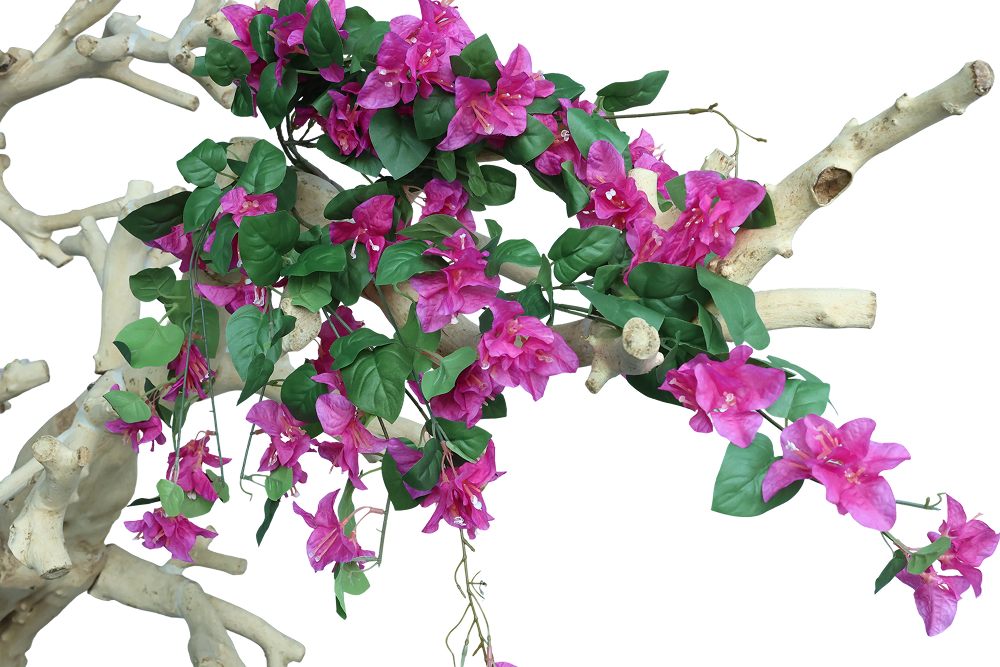 Hot Pink Bouganvilea Bunch-33"