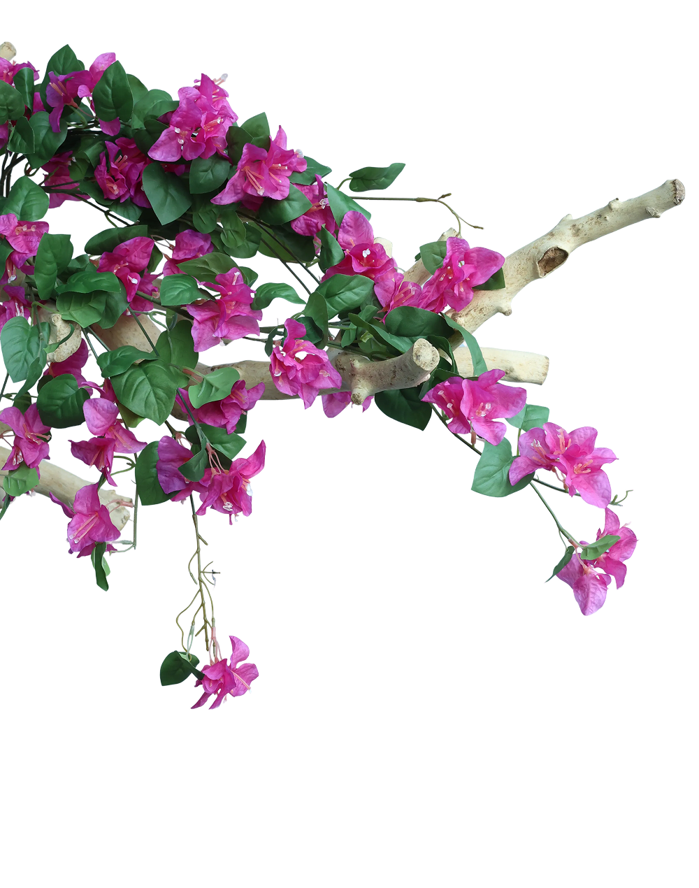 Hot Pink Bouganvilea Bunch-33"