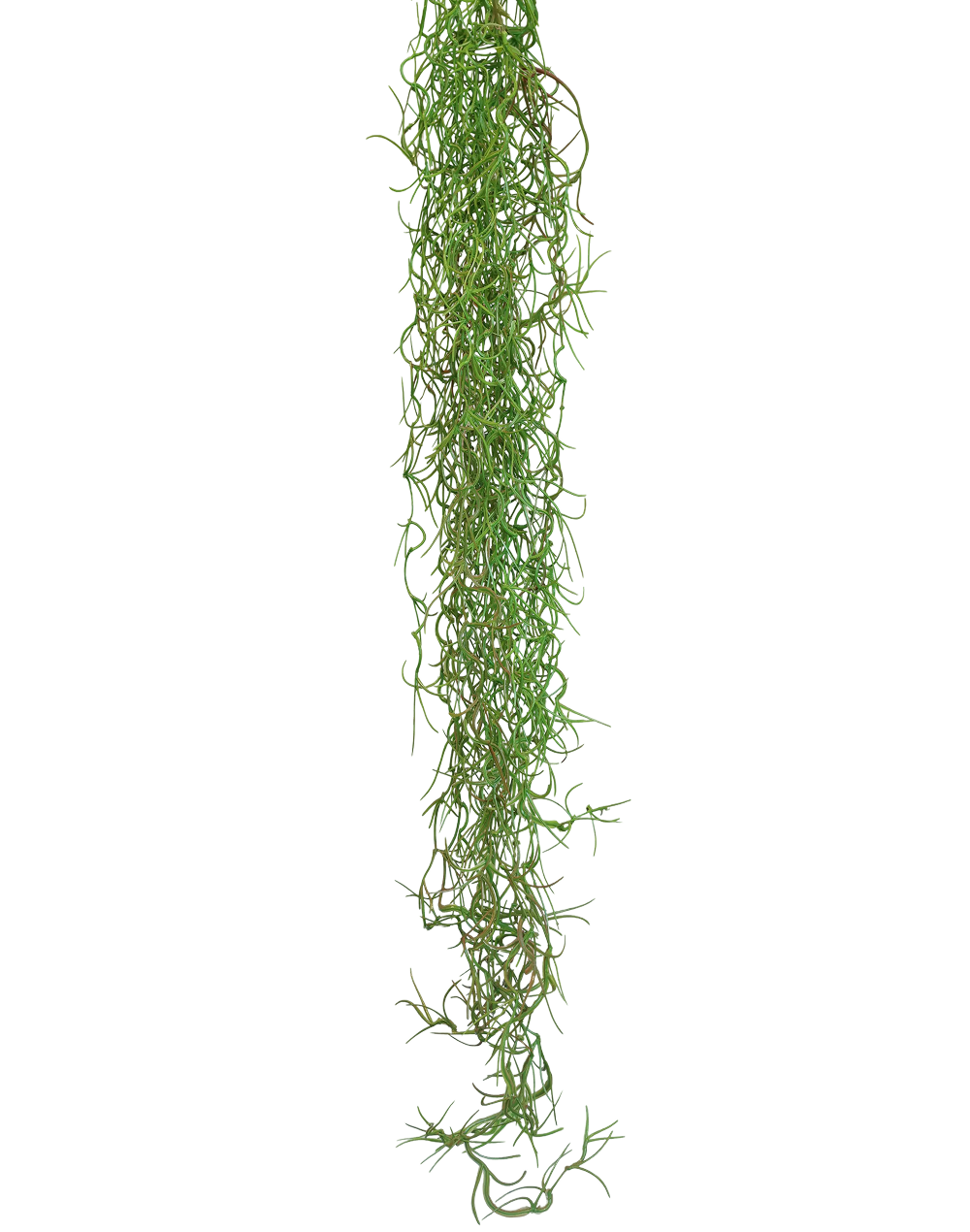 Hanging Reindeer Moss | Available in 3 Colors