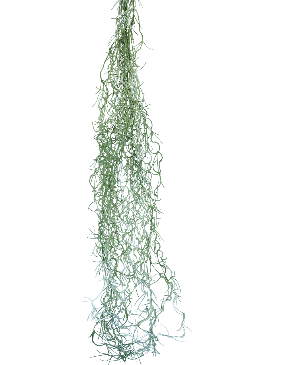Hanging Reindeer Moss | Available in 3 Colors