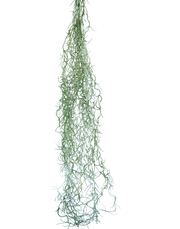 Hanging Reindeer Moss | Available in 3 Colors