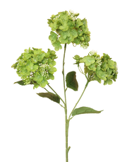 Garden Hydrangea 3-Head Spray | Available in 3 Colors